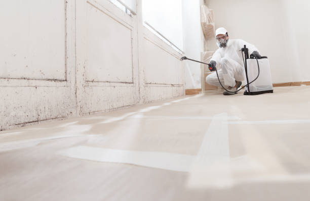 24/7 Emergency Mold Cleanup experts in Gainesville, TX